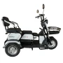 Электрический трицикл SHTENLI Model 31 SLA 20Ah48V