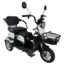 Электрический трицикл SHTENLI Model 31 SLA 20Ah48V
