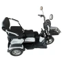 Электрический трицикл SHTENLI Model 31 SLA 20Ah48V