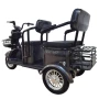 Электротрицикл SMD TRIKE PLUS