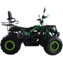 Квадроцикл ATV Storm 200 All Road ЭПТС