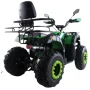 Квадроцикл ATV Storm 200 All Road Manual ЭПТС