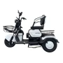Электрический трицикл SHTENLI Model 31 li-ion 20Ah60V