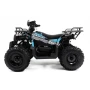 Квадроцикл SHARMAX Activator 250 (мотокомплект)