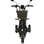 Электротрицикл AVM DELTA TRIKE
