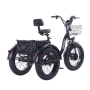 Электровелосипед трехколесный Shtenli Trike PRO 48V 10.4Ah