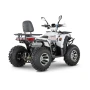 Квадроцикл YACOTA VIKING 200 PRO (мотокомплект)