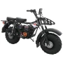 Мотоцикл внедорожный СКАУТ-2F PLUS-9Е лс KP230PRO