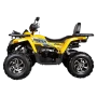 Комплект запчастей Avantis H250 BIG NEW Premium (баланс. вал) 