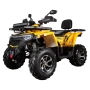 Комплект запчастей Avantis H250 BIG NEW Premium (баланс. вал) 