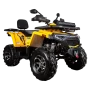 Комплект запчастей Avantis H250 BIG NEW Premium (баланс. вал) 