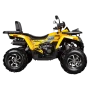 Комплект запчастей Avantis H250 BIG NEW Premium (баланс. вал) 