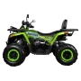 Квадроцик Avantis H250 BIG NEW Lux (баланс. вал) 