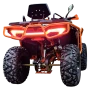 Квадроцикл MOTERA TANK 220 PRO ЭПТС