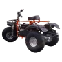 Трицикл ИжтехМаш ТРИТОН САФАРИ-3LE-10 лс KP270