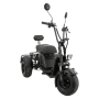 Электроскутер SB Mini Sport Trike
