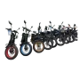 Электропитбайк Minako Pit R