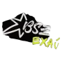Питбайк BSE EXA SA 14/12