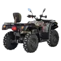 Квадроцикл BALTMOTORS BM500 EFI