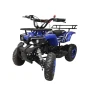 Бензиновый квадроцикл WELS Thunder mini 2T 49cc