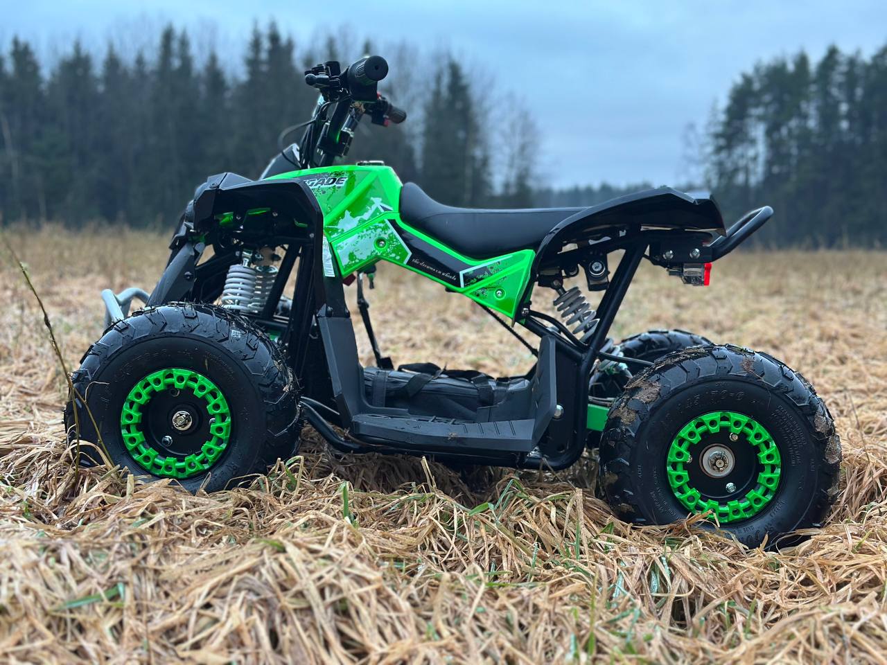 photo_4_2025-12-22_12-16-31