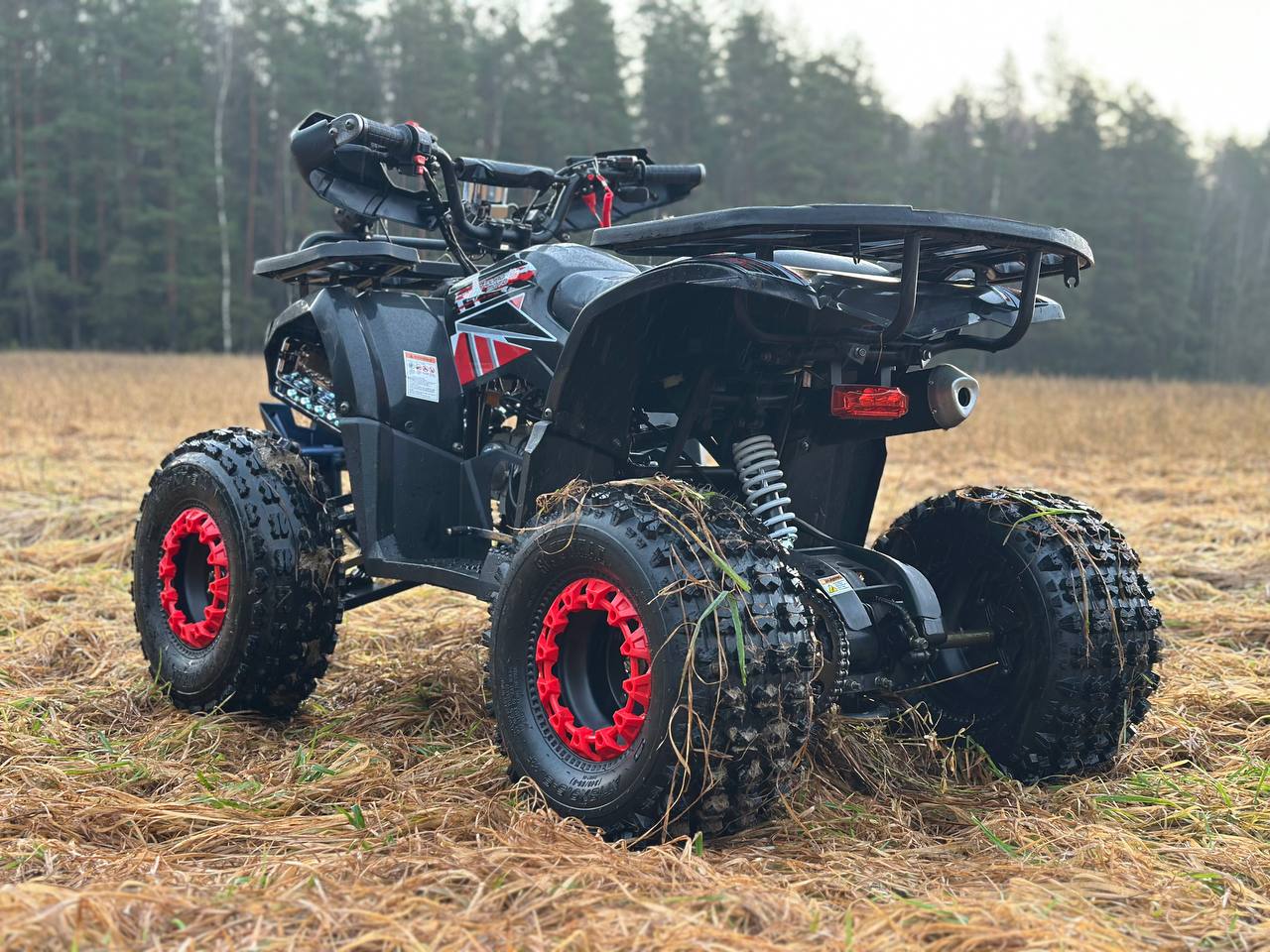 photo_17_2025-12-22_12-02-39