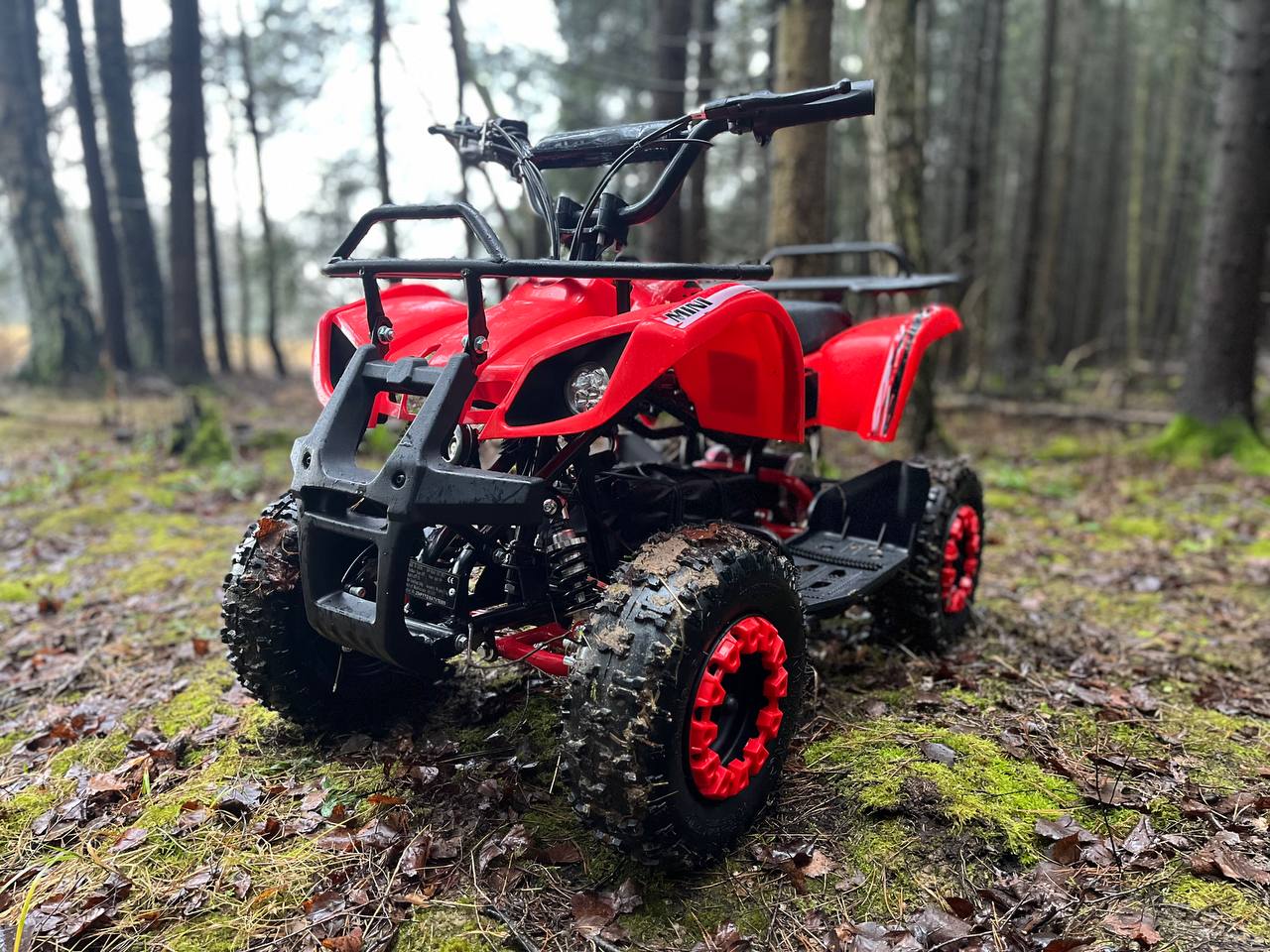 photo_2_2025-12-22_11-58-46