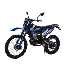motoland-motocikl-kross-xt300-hs-175fmm-pr5
