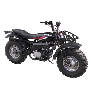 izh-motocikl-vnedorozhnyj-skaut-5-polnyj-privod