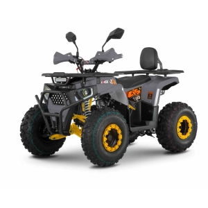 m1nsk-atv-lis-125