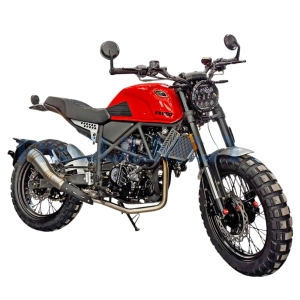 regulmoto-motocikl-fargo-300