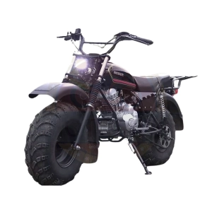 izh-mototsikl-vnedorozhnyy-skaut-3v-200-kolesa-10
