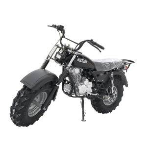 izh-mototsikl-vnedorozhnyy-skaut-3vr-250-kolesa-10