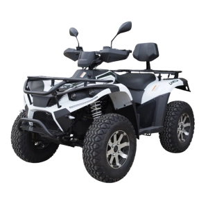 linhai-atv-lh40da-3900w