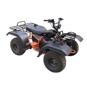 izh-atv-mehanik-3-variator