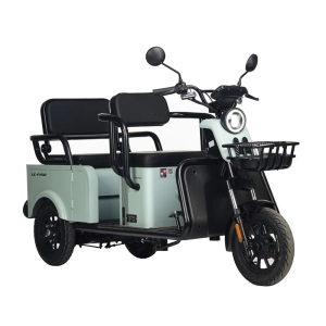 wanshida-elektrotritsikl-lc-f150-60v1000vt