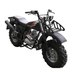 izh-motocikl-vnedorozhnyj-skaut-10-pr300