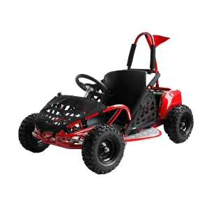 1000w-eco-buggy-gokid
