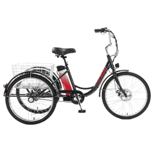 avm-jelektrovelosiped-e-alfa-trike-24
