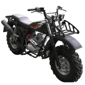 izh-motocikl-vnedorozhnyj-skaut-10-pr250