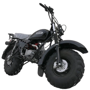 izh-motocikl-vnedorozhnyj-skaut-3-125