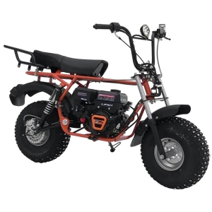 izh-skaut-motocikl-safari-pljus-3fl-8e-bigfoot-fork