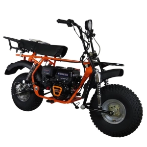 izh-skaut-motocikl-safari-pljus-3l-9e-bigfoot