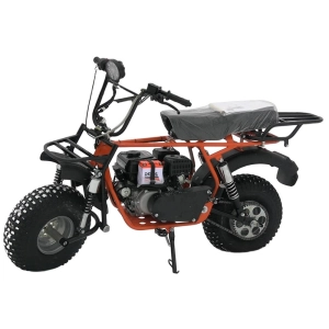 izh-skaut-motocikl-safari-pljus-3l-8e-bigfoot