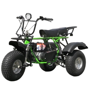 izh-triton-tricikl-2-safari-3le-9-kp230pro