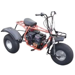 izh-triton-tricikl-safari-3l-10-kp270
