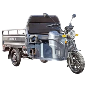 rutrike-gruzovoj-jelektrotricikl-master-1500-60v1000w