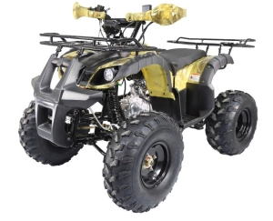 atv-termit-tt-rg8-auto