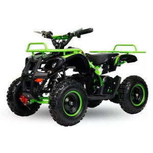 qmc-quad-eco-marsik-48v-1000w