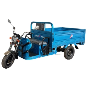 sb-jelektrotricikl-gruzovoj-cargo